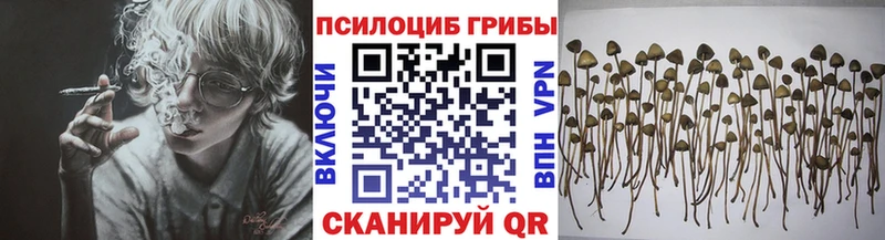 Галлюциногенные грибы мицелий  Купить закладки  Донской 